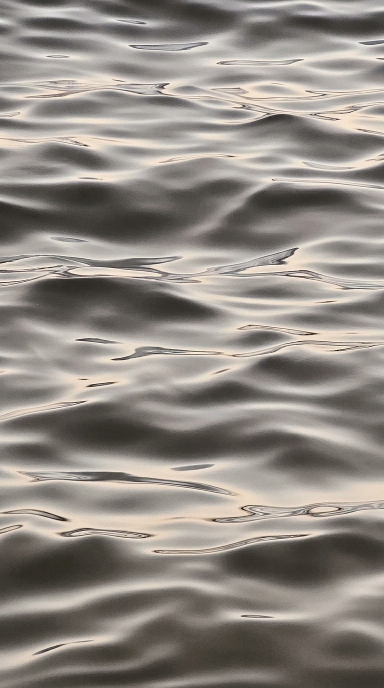 Still water — reflection and light