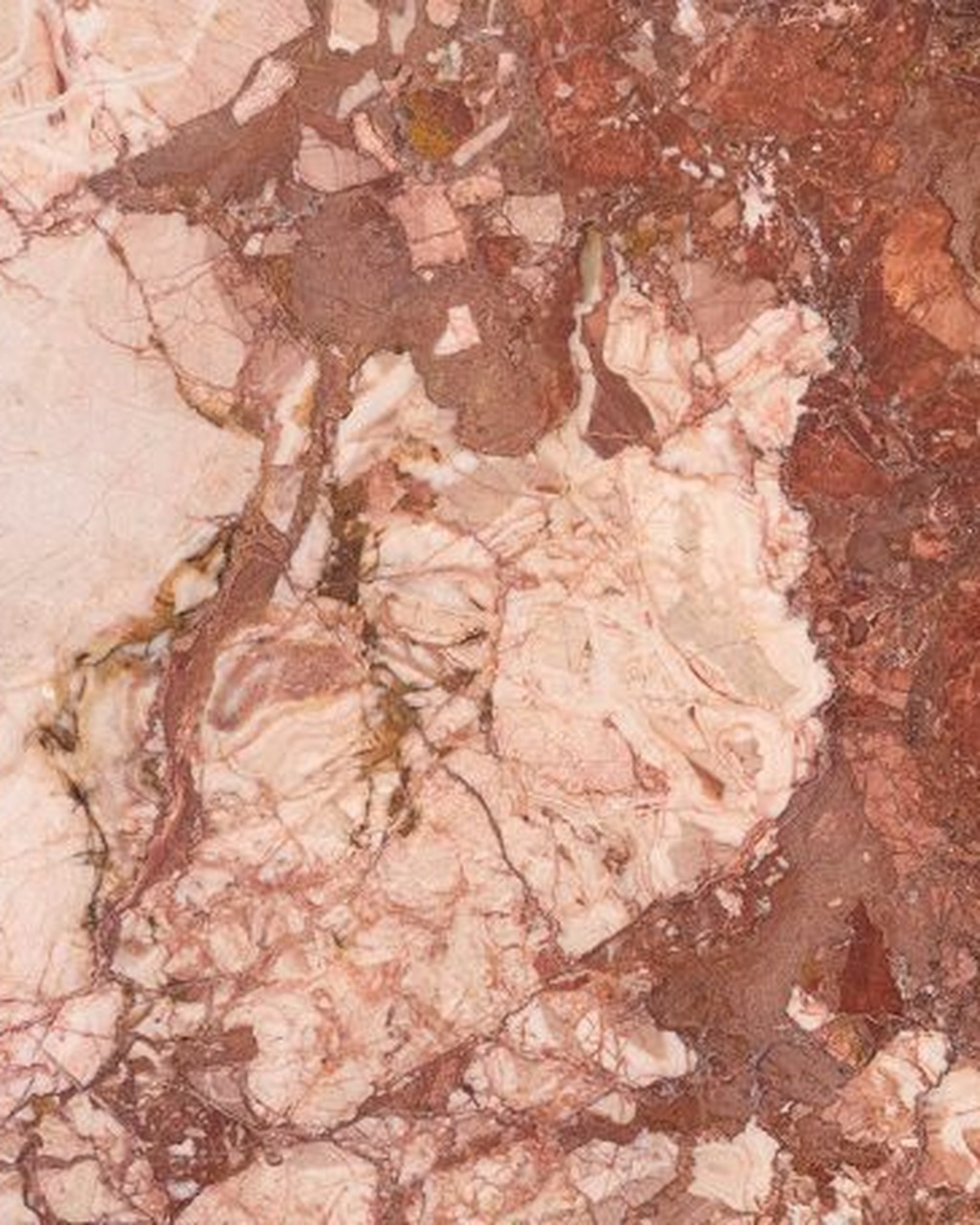Breccia Pernice Marble — material sample, Flame Tree Ridge